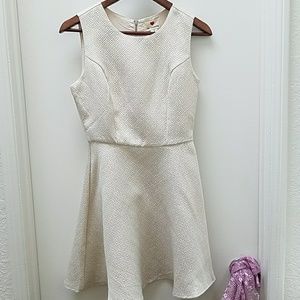 NWT Cream Gold Dress